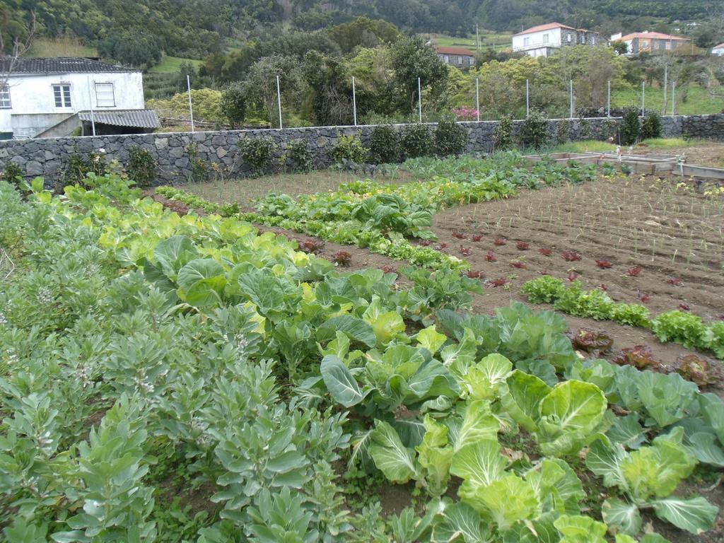 Gasthof Tropical Fruit Garden