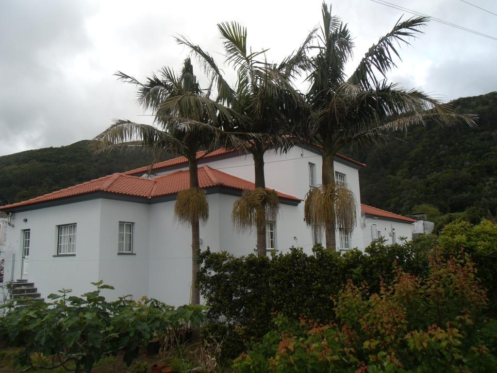 Tropical Fruit Garden