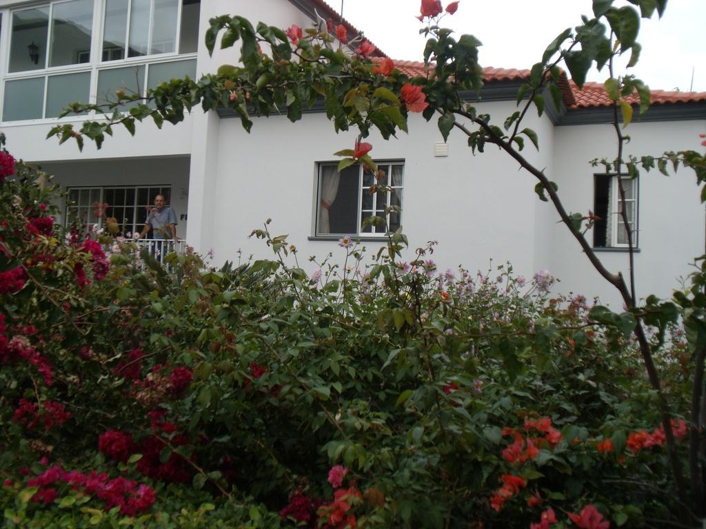 Gasthof Tropical Fruit Garden